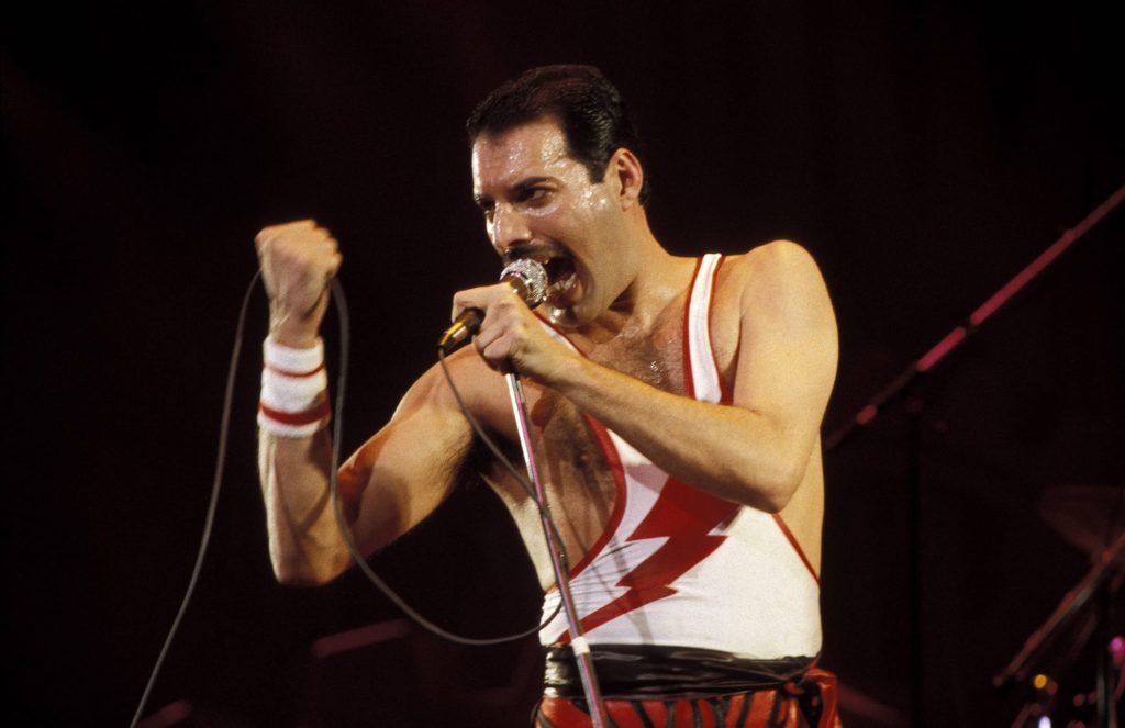 5364667 - Freddie